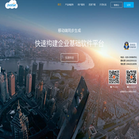 软件开发平台 移动开发平台 SAAS平台 基础软件 快速开发平台