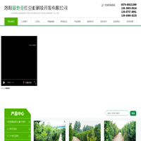 洛阳红豆杉_红豆杉基地_洛阳曼地亚红豆杉科技开发有限公司
