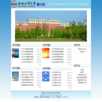 合肥工业大学审计处