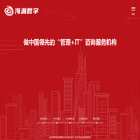 为客户提供“管理+IT”咨询服务-徐州海派科技有限公司