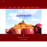 矮砧苹果科普天地_矮砧苹果科普天地