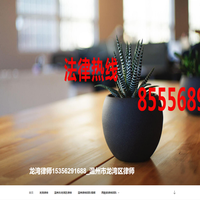 龙湾律师15356291688_温州市龙湾区律师