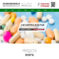 山东正方控股集团有限公司