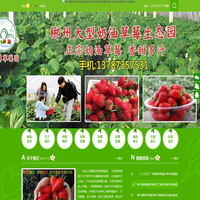 郴州草莓园 郴州哪里有草莓摘 郴州摘草莓到陈勇草莓园 华塘侯家草莓园 奶油草莓园