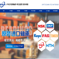 长沙市洛瑞轴承有限公司