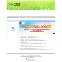 玮星信息