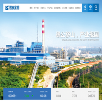 河南豫光金铅股份有限公司