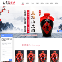 首页--宜宾市叙州区王家沟酒业有限公司