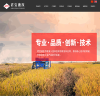 多路阀-淮安市君宝液压机械有限公司