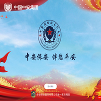 中安保安服务公司